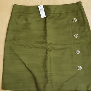 Ann Taylor skirt